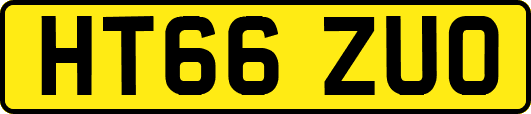 HT66ZUO
