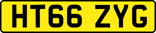HT66ZYG