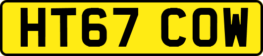 HT67COW