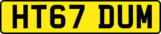 HT67DUM