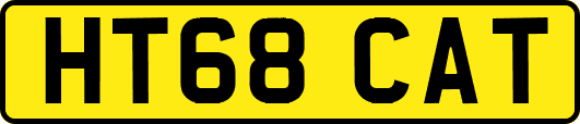 HT68CAT