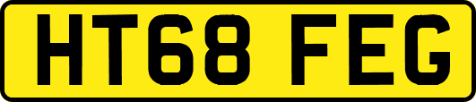 HT68FEG