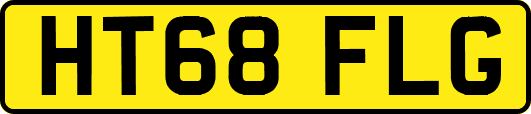 HT68FLG