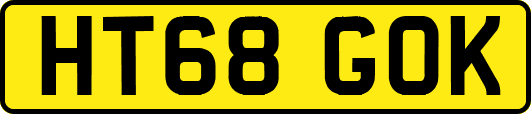 HT68GOK
