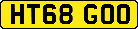 HT68GOO