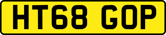 HT68GOP