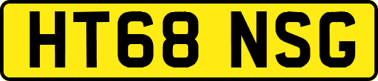 HT68NSG