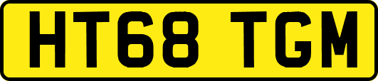 HT68TGM