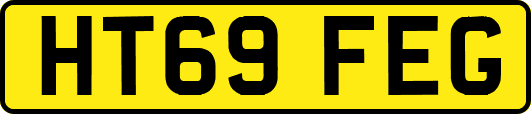 HT69FEG