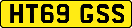 HT69GSS