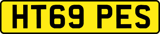 HT69PES