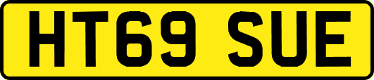 HT69SUE