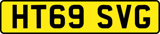 HT69SVG