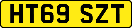 HT69SZT