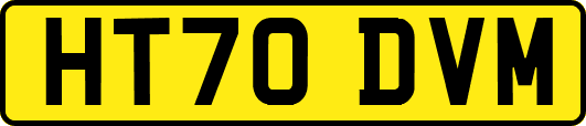HT70DVM