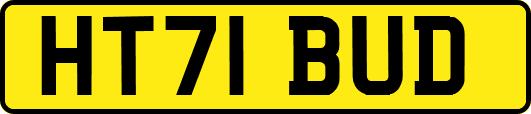 HT71BUD