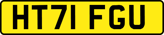 HT71FGU
