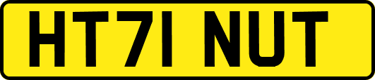HT71NUT