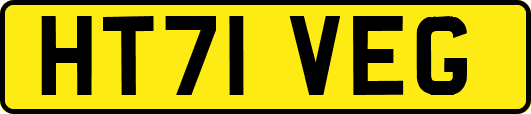 HT71VEG