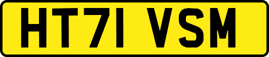 HT71VSM