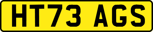HT73AGS