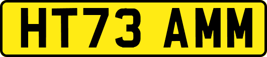 HT73AMM