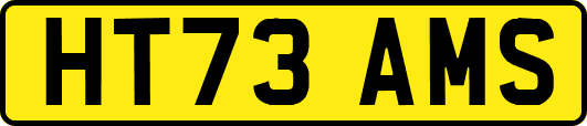 HT73AMS