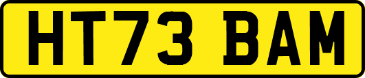 HT73BAM