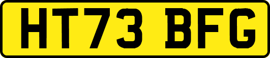 HT73BFG