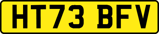 HT73BFV