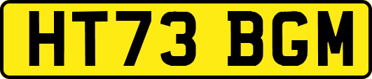 HT73BGM