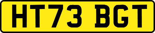 HT73BGT