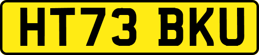 HT73BKU