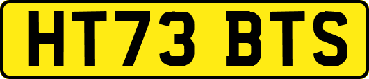 HT73BTS