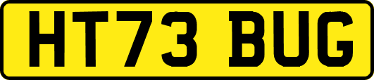 HT73BUG