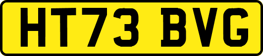 HT73BVG