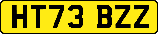 HT73BZZ