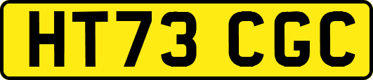 HT73CGC