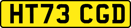 HT73CGD