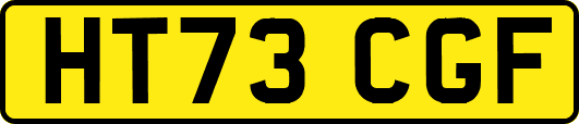 HT73CGF