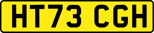 HT73CGH