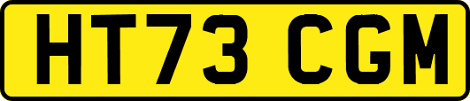 HT73CGM