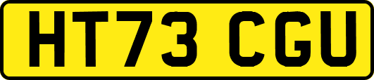 HT73CGU