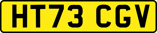 HT73CGV