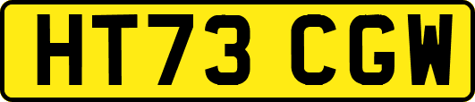HT73CGW