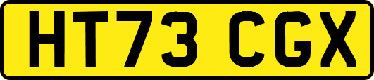 HT73CGX