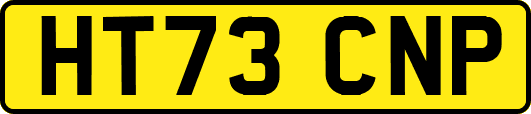 HT73CNP
