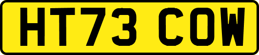 HT73COW