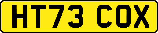 HT73COX