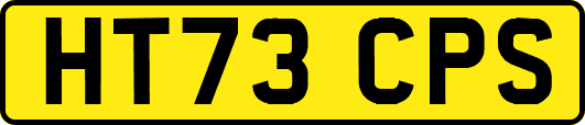 HT73CPS